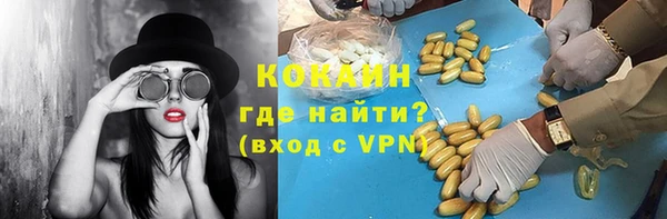 Альфа ПВП Горняк