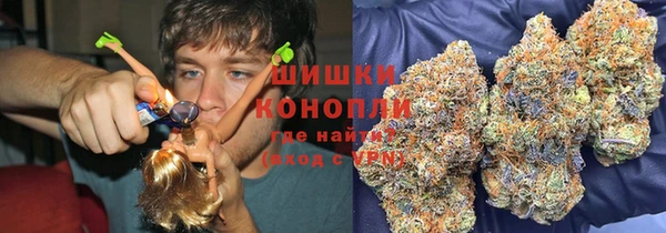 Альфа ПВП Горняк