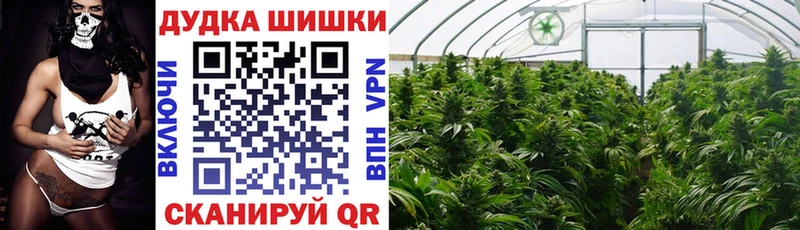 Бошки Шишки план Купить закладки Кувшиново